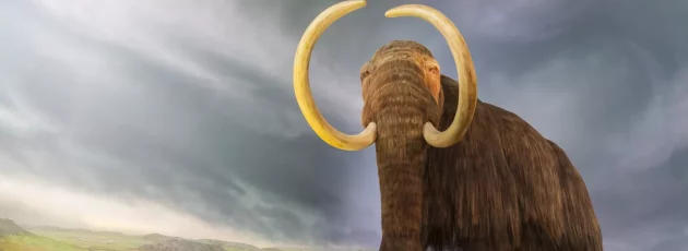 Mastodon